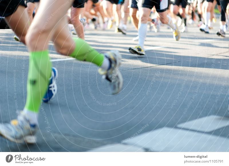 Beine von Marathonläufern Joggen Frau Erwachsene Mann Fuß Straße Strümpfe Turnschuh laufen Zusammensein Geschwindigkeit Ausdauer anstrengen Ziel bein Berlin