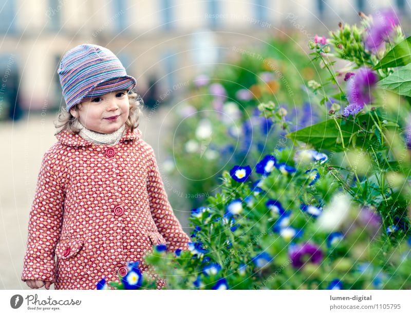 Kind mit Blumen Freude Glück Mädchen 1 Mensch Natur Herbst Park Mantel Mütze Lächeln stehen Freundlichkeit klein Fröhlichkeit allein jung Querformat Farbfoto