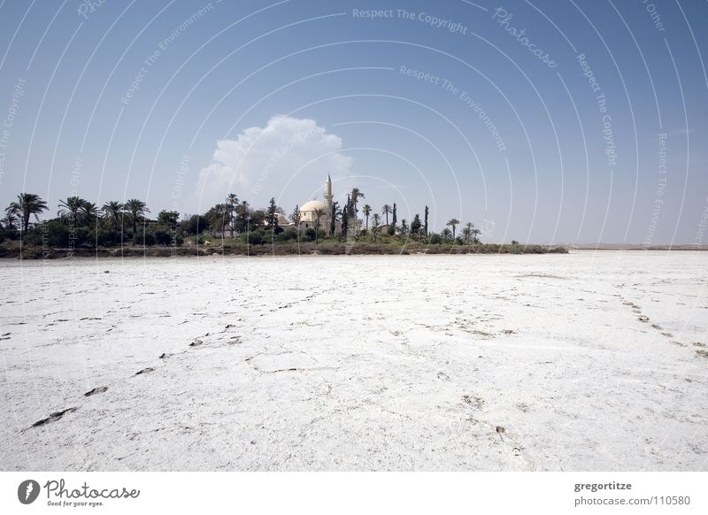 'chala sultan tekke' at the salt lake near larnaka Moschee Salt Lake Zypern Salzsee Palme Wolken Gotteshäuser Stein Mineralien cyprus Himmel