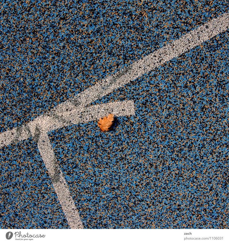 liegengeblieben Sportstätten Fußballplatz Stadion Rennbahn Herbst Pflanze Blatt Stadt Linie rennen blau Herbstlaub Herbstfärbung Gedeckte Farben Außenaufnahme