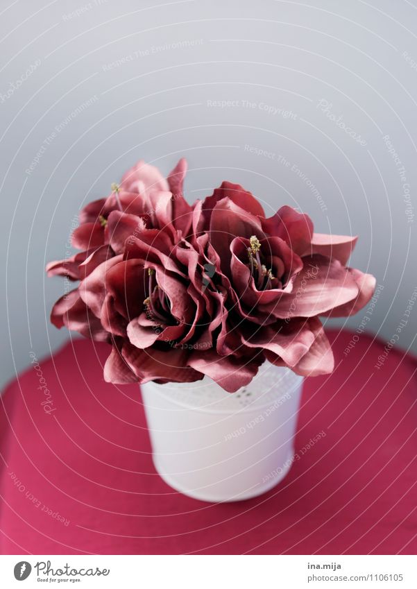 Marsala Pflanze Blume Dekoration & Verzierung Kitsch Krimskrams ästhetisch rot Duft Blumenstrauß Kunstblume falsch schön Natur natürlich bordeaux grau