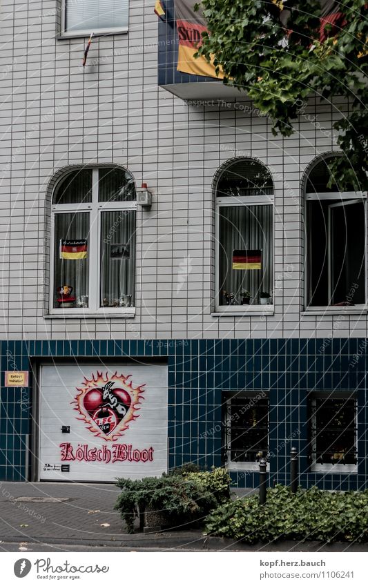 nur der Effzeh Häusliches Leben Haus Dekoration & Verzierung Fußball Bundesliga Köln Stadt Lebensfreude Begeisterung Sympathie Treue Fan FC KÖLN Deutsche Flagge