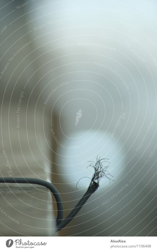 HMV | schlußendlich Stahlkabel Draht durcheinander Ende fadenförmig Nest Kurzschluss Balken Holzbrett Reflexion & Spiegelung Lichtfleck alt ästhetisch kaputt