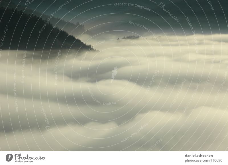 Invasionswetterlage Nebel Wolken schwarz weiß abstrakt Hintergrundbild Baum Herbst Schwarzwald Wald Winter Himmel Berge u. Gebirge Kontrast Schatten Wetter