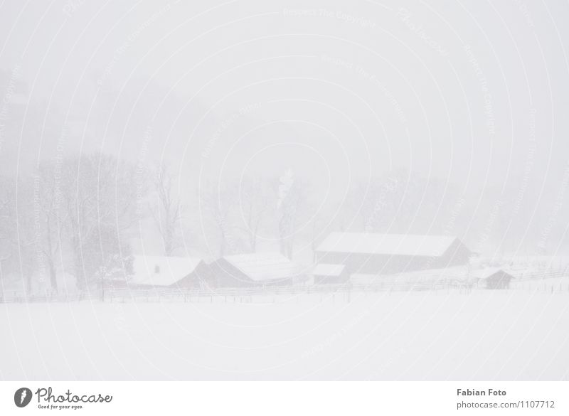 Bauernhof im Schneesturm Urelemente Winter Schneefall Feld weiß kalt Farbfoto Außenaufnahme Tag Totale