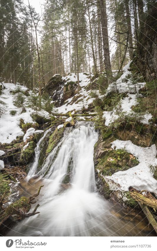 Schwarzwaldfoto Ferien & Urlaub & Reisen Tourismus Ausflug Winter Berge u. Gebirge Umwelt Natur Landschaft Wasser Klima Wetter Eis Frost Schnee Pflanze Baum