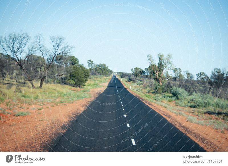 Eine gerade Teer Straße im Outback ,39 Grad.Rechts und links stehen Büsche und Bäume. Northerrn Territory. Australien  Richtung Westen Freude Erholung Ausflug