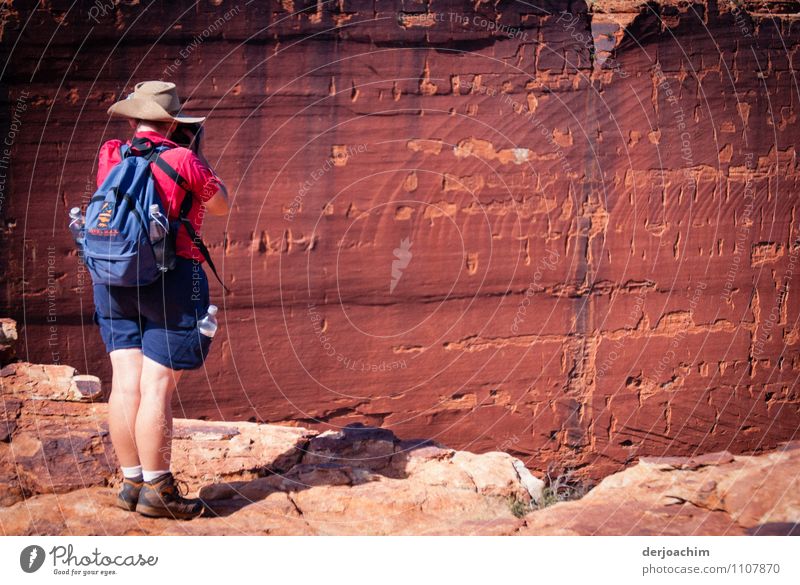 Rote - Felswände auf dem Plateau Watarrka-Nationalpark im Kings Canyon. Northern Territory. Australien. Freude ruhig Ausflug Natur Erde Sommer Schönes Wetter
