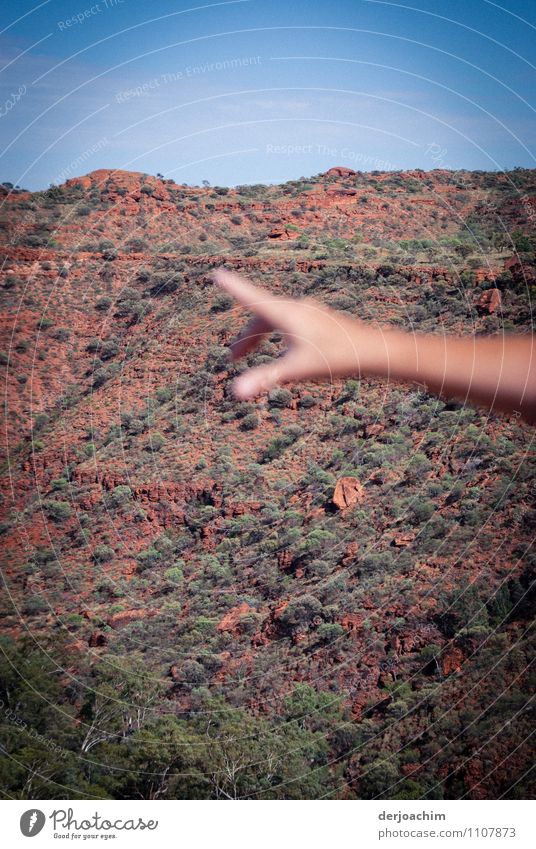 Eine Hand zeigt ( Fingerzeig  ) ausgestreckt nach den Felswänden im Kings Canyon. Leben Freizeit & Hobby Ausflug Berge u. Gebirge wandern feminin 1 Urelemente