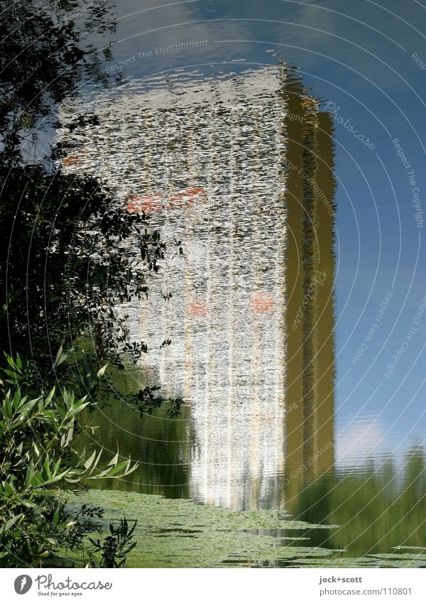 (11Pw) Plattenbau im Pfuhl Himmel Sommer Baum Park Teich Inspiration Natur Surrealismus wellig Wohnhochhaus DDR Illusion Symbole & Metaphern fantastisch