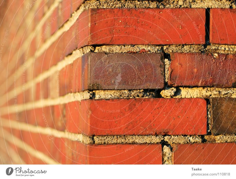 Rote Ecke Backstein rot Zement Mörtel Mauer Unschärfe Gebäude Detailaufnahme Farbe Stein Perspektive