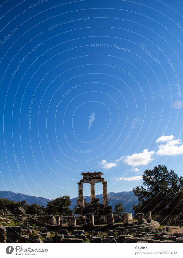 Tholos beim Orakel von Delphi Natur Landschaft Sonne Sonnenlicht Winter Griechenland Europa Dorf Menschenleer Ruine Bauwerk Architektur Sehenswürdigkeit