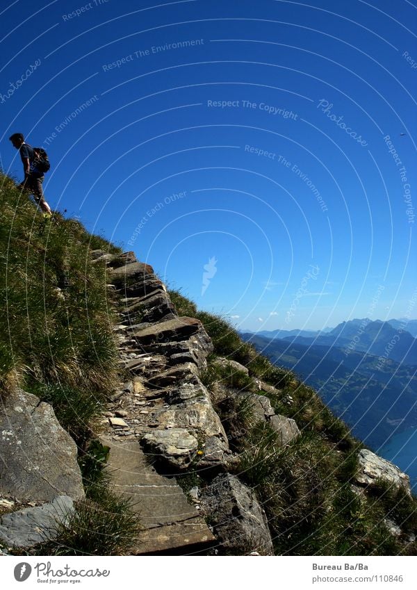 Dem Himmel ganz nah... wandern Bergsteigen Berner Oberland Fußweg See Gipfel Schweiz Berge u. Gebirge Wege & Pfade Aussicht blau Spitze anstrenung