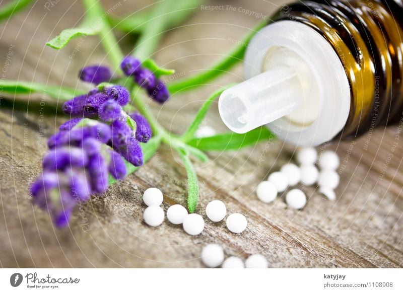Globuli globuli Apotheke Heilpraktiker Medikament Kosmetik Lavendel Blume arnica homöopathisch Alternativmedizin Erholung Gesundheit Gesundheitswesen Natur