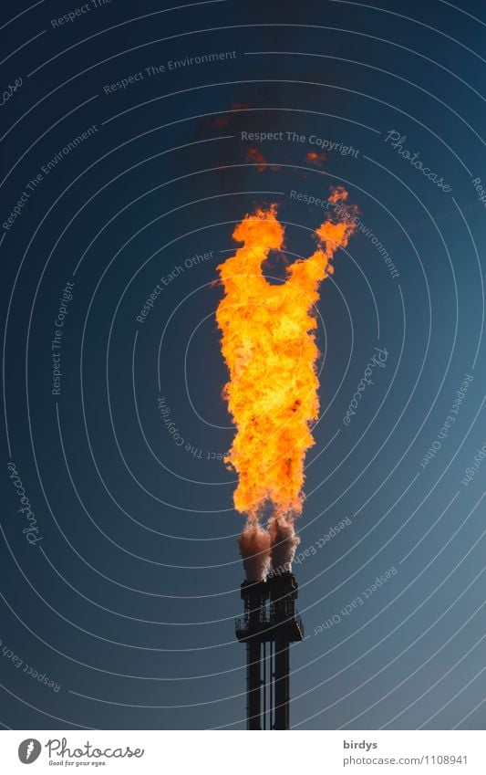 Feuer und Flamme Industrie Energiewirtschaft Wolkenloser Himmel Fackel Rauch Brand leuchten authentisch bedrohlich heiß hoch blau gelb orange schwarz Angst