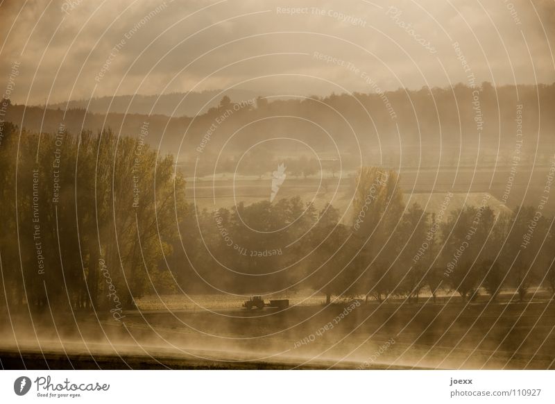 Traktor mit Hänger fährt am Morgen durch dampfende Landschaft Landwirtschaft Baum Baumreihe Bodennebel fahren Tau Herbst Idylle Nebel unklar poetisch Romantik