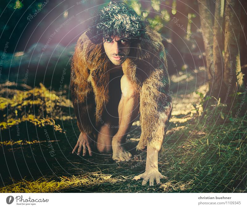 Animal-man in the forest maskulin 18-30 Jahre Jugendliche Erwachsene Sonnenaufgang Sonnenuntergang Mondfinsternis Pflanze exotisch Wald Fell beobachten Bewegung