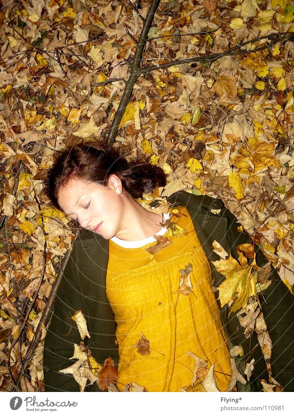 Herbstschlaf Blatt gelb dunkelgrün Frieden schlafen Mantel Gefühle Vergänglichkeit brünett Farbe rostgelb Bodenbelag dreckig Einsamkeit liegen herbstschlaf