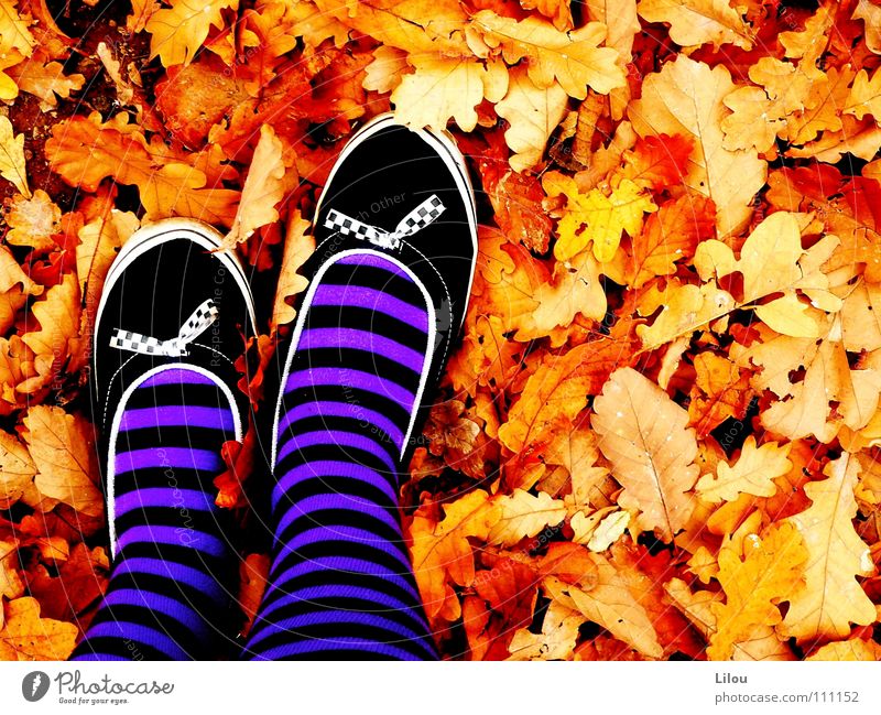 Autumn's Witch. Herbst Blatt mehrfarbig rot gelb braun weiß schwarz violett Schuhe Lieferwagen Strümpfe Streifen Kreis alternativ Hardcore Junge Frau autumn