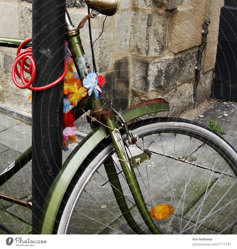 winterblüten Fahrrad Burg oder Schloss Verkehrsmittel Straße Metall Rost alt Bewegung trist mehrfarbig grau rot trösten Einsamkeit Farbe stagnierend