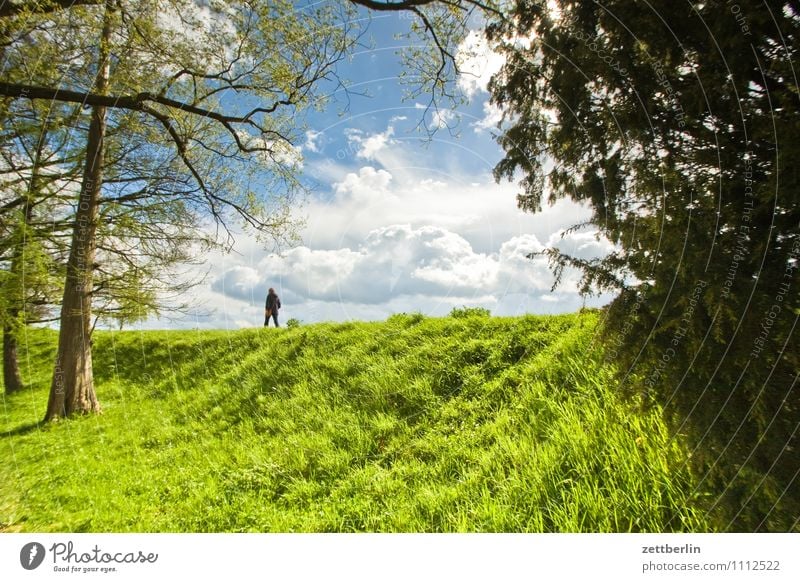 Spaziergang Ausflug Frühling Park Sachsen-Anhalt Tourismus Schönes Wetter Wörlitz Damm Deich wandern Spazierweg Gras Rasen Wiese Mensch einzeln Einsamkeit