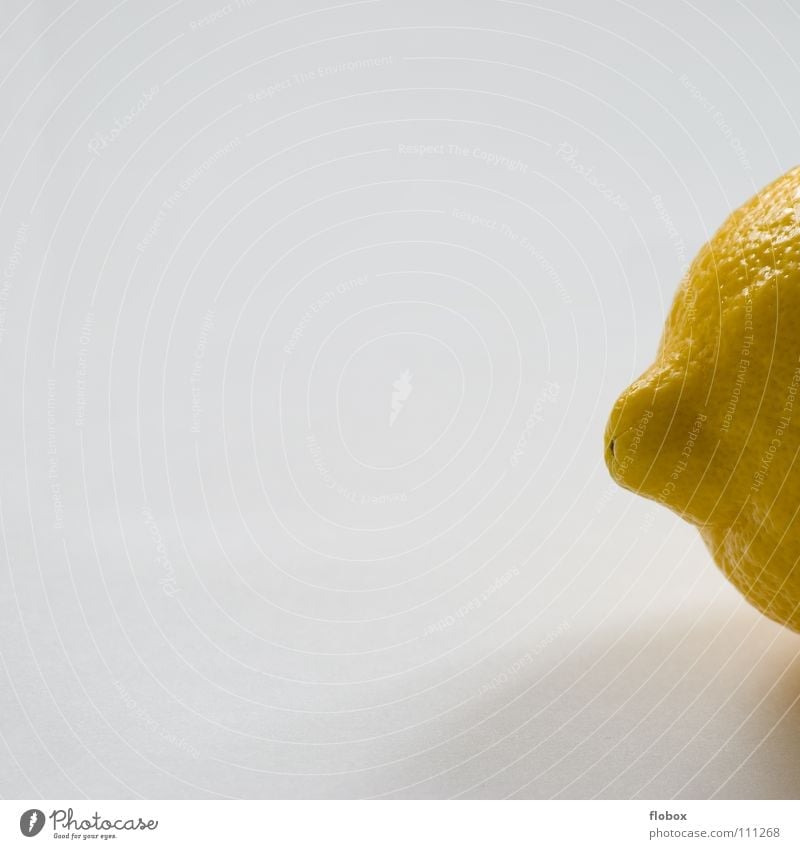 Stummelschwänzchen Zitrone zitronengelb Zitrusfrüchte Fruchtfleisch Natur Vitamin C Gesundheit frisch Saft rund Hälfte Sommer Cocktail Erfrischung Zitronensaft
