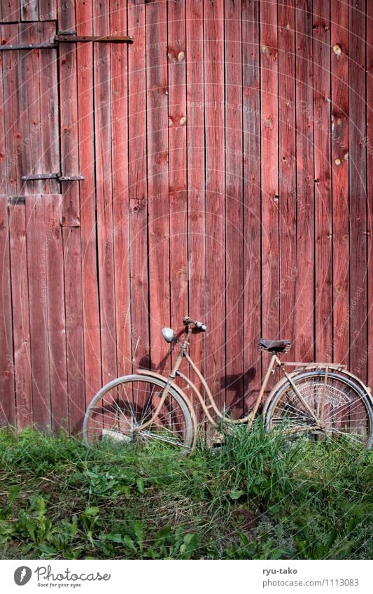 angelehnt Wiese Fahrrad Hütte Scheune Holz retro grün rot Frühlingsgefühle Gelassenheit ruhig alt gebraucht Farbfoto mehrfarbig Außenaufnahme Menschenleer