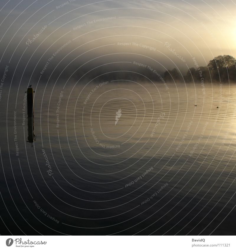 Schlaf in den Augen Gewässer See Teich Binnensee Nebel Morgennebel grau schlechtes Wetter dunkel Tau Waschhaus Wasseroberfläche Reflexion & Spiegelung Säule