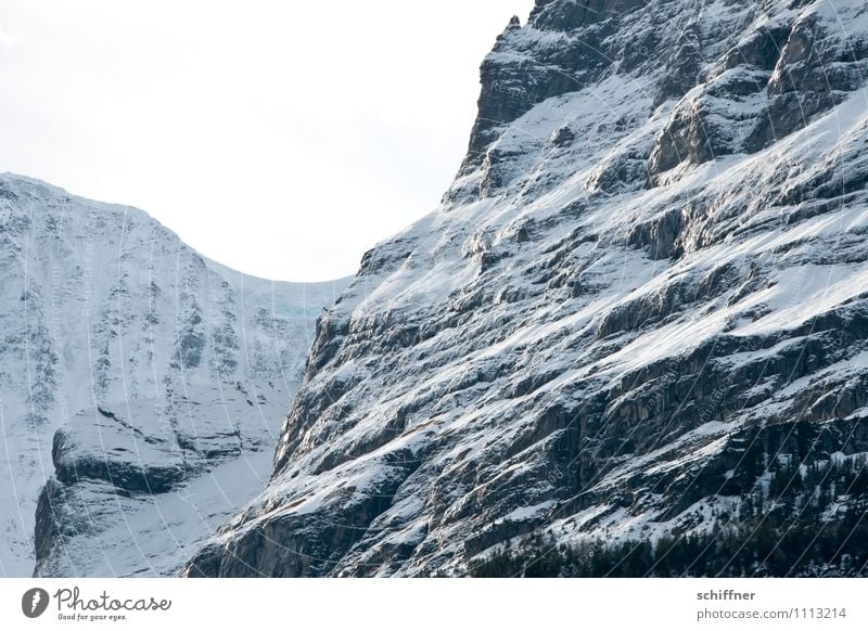 oh Schreck, die Steilwand! Natur Schönes Wetter Felsen Alpen Berge u. Gebirge Schneebedeckte Gipfel kalt Felswand steil Eis alpin Schreckhorn Außenaufnahme