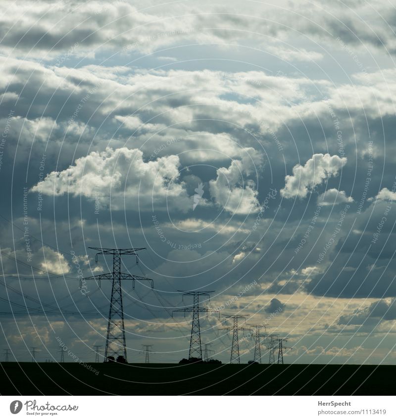 Power Energiewirtschaft Strommast Hochspannungsleitung Landschaft Himmel Wolken ästhetisch bedrohlich grau Wolkenhimmel Wolkenformation Abenddämmerung