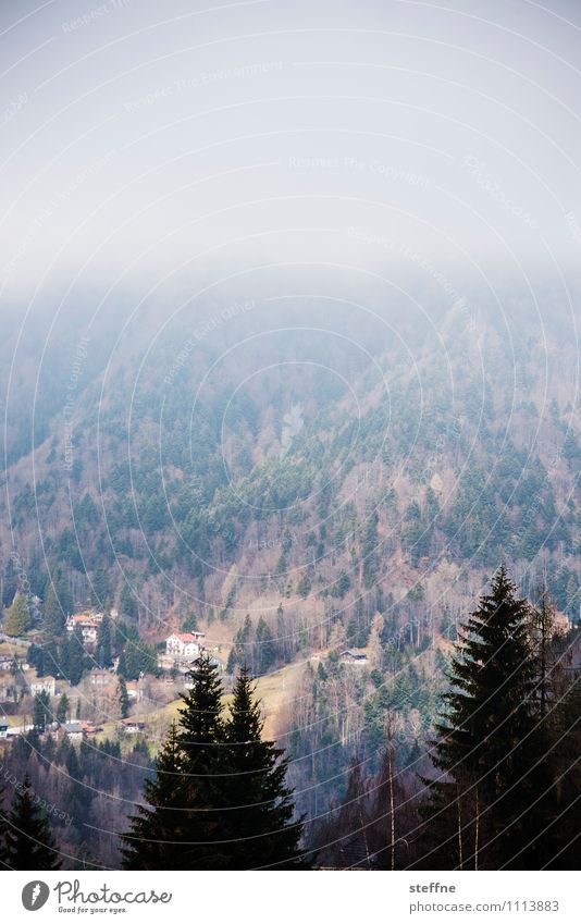 ausradiert Frühling Winter Nebel Baum Berge u. Gebirge Alpen montreux Schweiz trist Dunst Tal Farbfoto Gedeckte Farben Textfreiraum oben Vogelperspektive