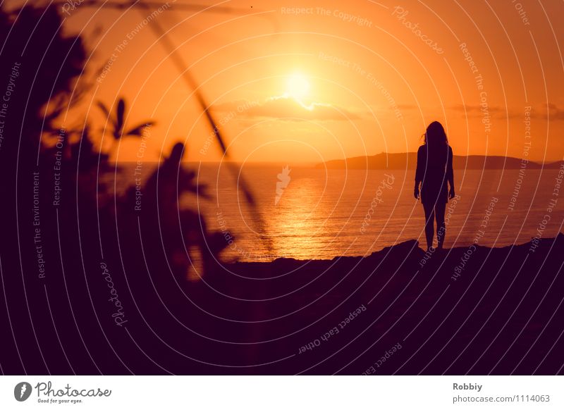 l'homme II Mensch Frau Erwachsene 1 Natur Landschaft Horizont Sonne Sonnenaufgang Sonnenuntergang Sonnenlicht Küste Strand Meer Pazifik Australien Blick stehen