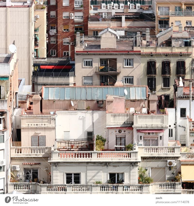 100 Leben Städtereise Topfpflanze Barcelona Spanien Stadt Stadtzentrum Altstadt überbevölkert Menschenleer Haus Gebäude Architektur Mauer Wand Treppe Fassade