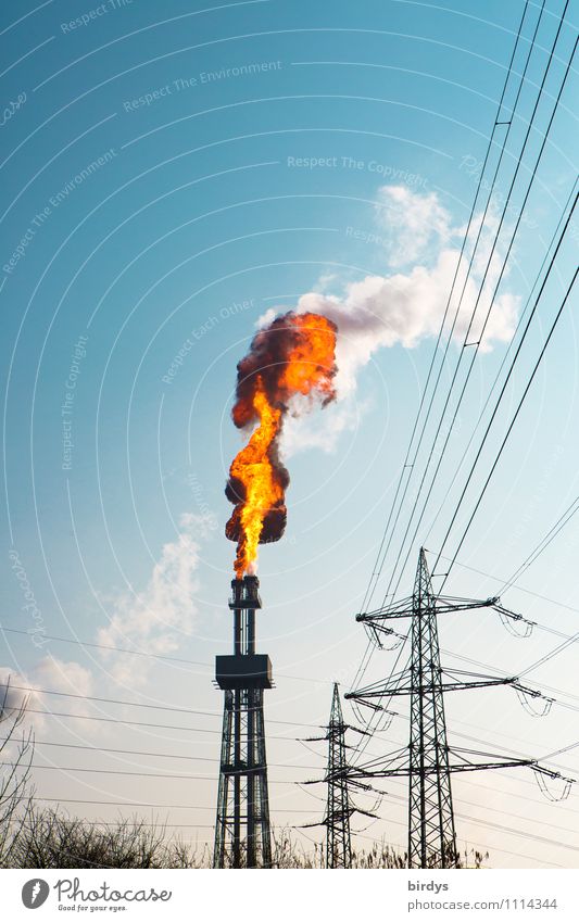 Störfall im Chemiewerk Industrie Feuer Wolkenloser Himmel Schönes Wetter Industrieanlage Turm Schornstein Rauch CO2 authentisch gigantisch heiß hoch