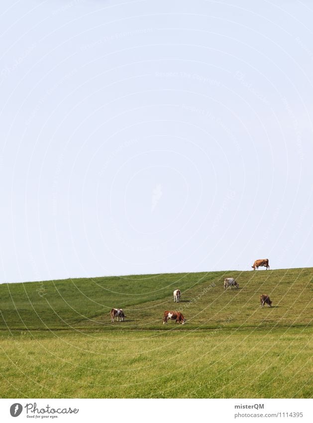 Kuhhaufen. Kunst ästhetisch Weide Weidezaun Alm Bayern Landwirtschaft Viehzucht Milchkuh Farbfoto Gedeckte Farben Außenaufnahme Experiment Menschenleer