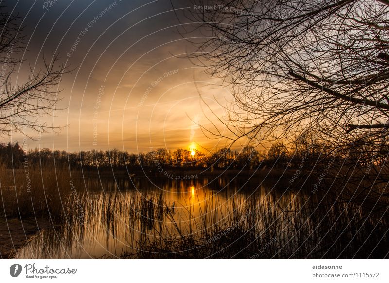 Mühlenteich Landschaft Wasser Nachthimmel Sonnenaufgang Sonnenuntergang Schönes Wetter Teich Zufriedenheit Romantik ruhig Müdigkeit Einsamkeit Rostock