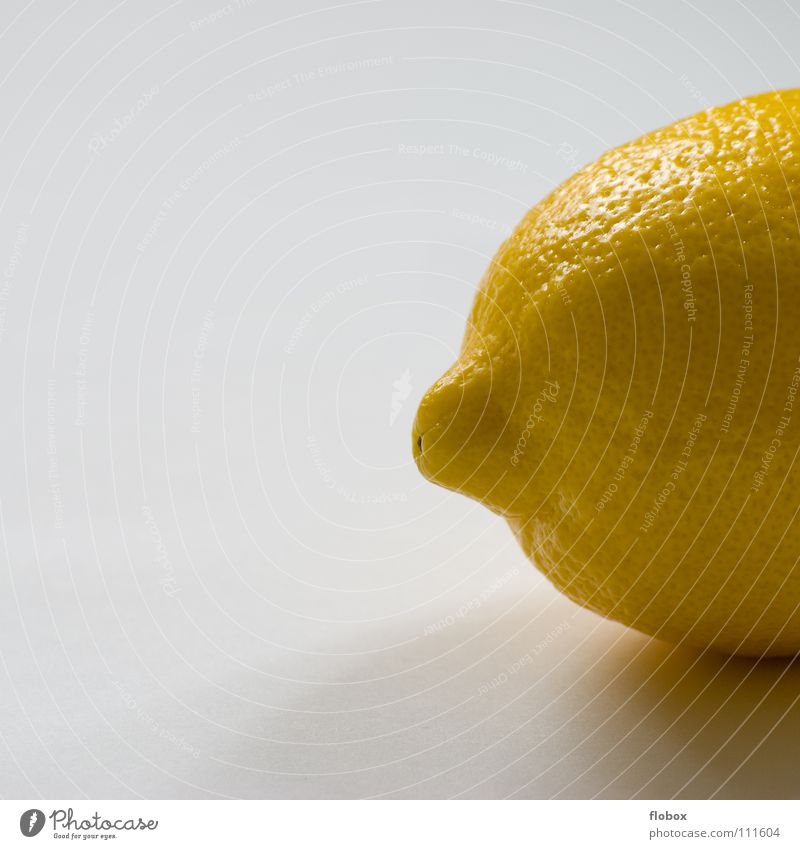 Stummelschwänzchen II Zitrone zitronengelb Zitrusfrüchte Fruchtfleisch Natur Vitamin C Gesundheit frisch Saft rund Hälfte Sommer Cocktail Erfrischung