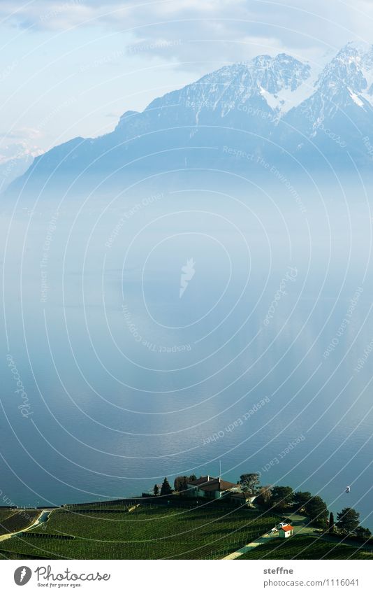 Around the World: Genfer See Berge u. Gebirge Gipfel ästhetisch Lausanne Alpen Nebel Textfreiraum Mitte