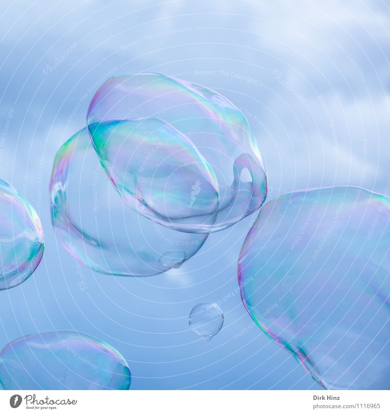 Traumblasen Wasser Zeichen fliegen flüchtig Seifenblase rund schimmern regenbogenfarben Spektralfarbe glänzend hohl Blase Vergänglichkeit Reflexion & Spiegelung