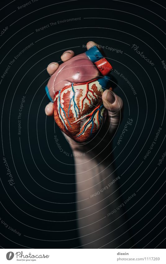 Herz Für Die Sache Arme Hand festhalten Entschlossenheit Herz-/Kreislauf-System Nachbildung Medikament Muskulatur Herzinfarkt Organspender Anatomie Pumpe