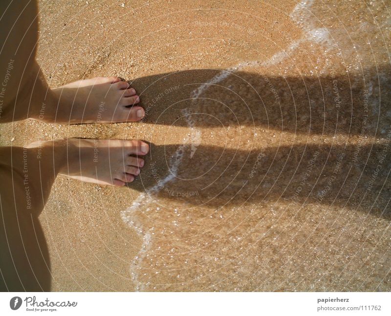 Füße am Strand Ferien & Urlaub & Reisen Außenaufnahme Ägypten Wellen Küste Freiheit Sand Fuß Wasser Schatten