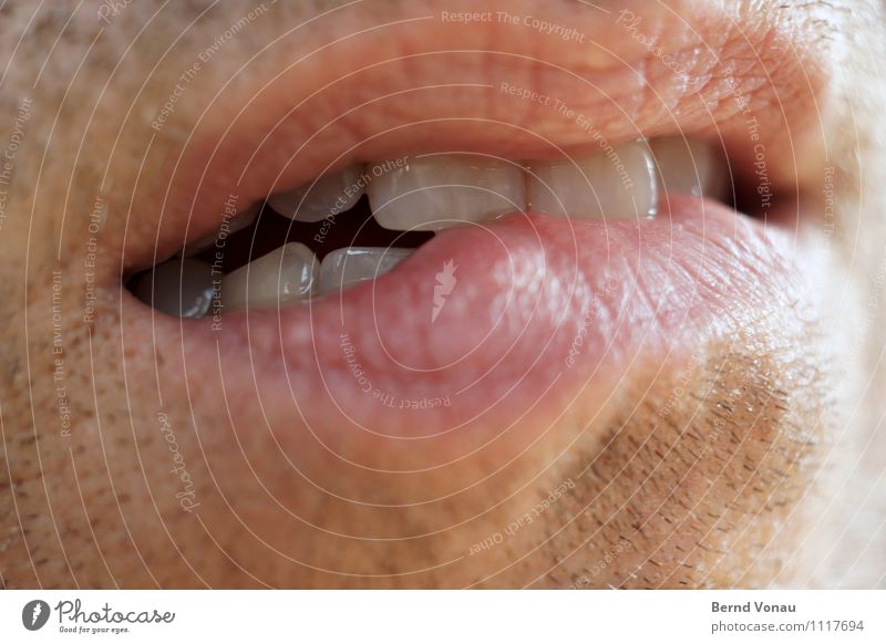 Verbissen Mensch maskulin Mann Erwachsene Mund Lippen Zähne 1 45-60 Jahre braun rosa rot weiß verbissen beißen nachdenklich Zweifel anstrengen Konzentration