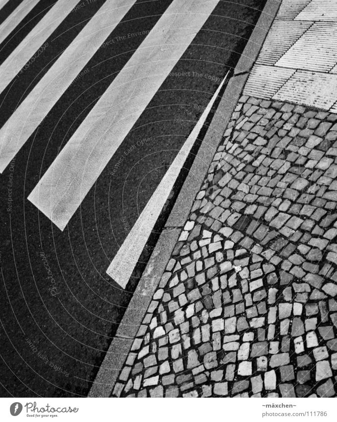 zebra crossing Zebrastreifen Straßenübergang gefährlich Kopfsteinpflaster Bordsteinkante schwarz weiß Quadrat diagonal Streifen Asphalt hart gehen Überqueren
