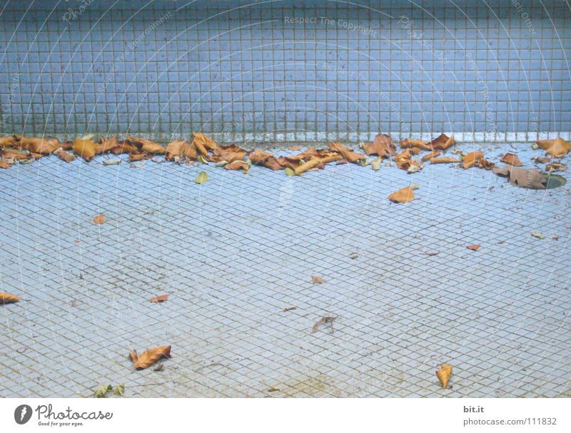 SAISONENDE Blatt Herbst Sonnenbad Herbstbeginn Schwimmbad Brunnen Pause Bad Saison geschlossen ausgestorben Saisonende Mosaik leer Einsamkeit Wand Langeweile