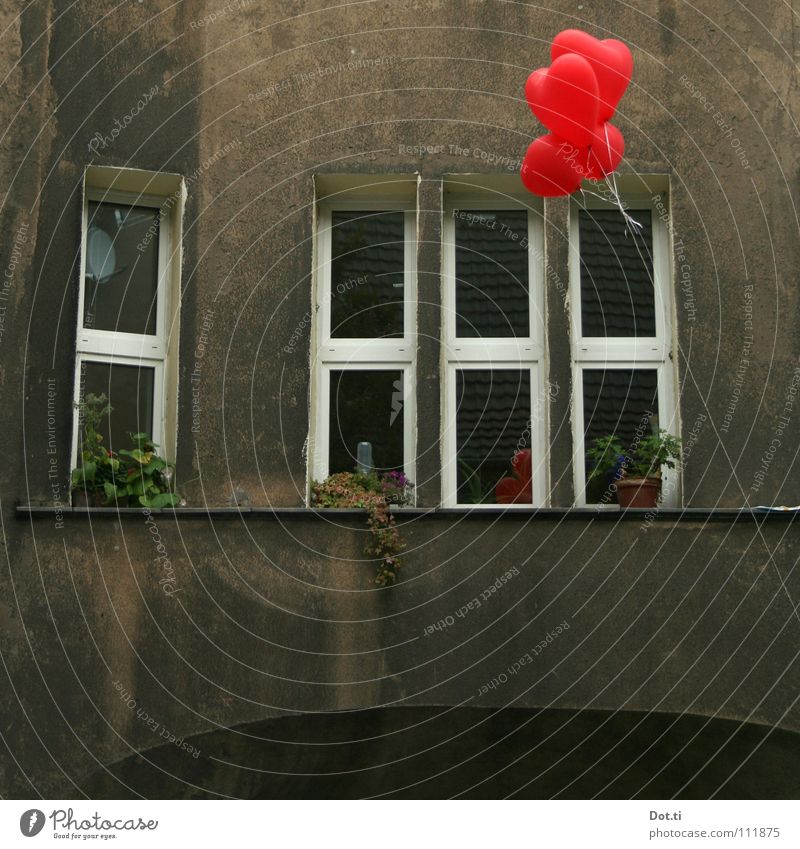 von Herzen Häusliches Leben Haus Geburtstag Topfpflanze Stadt Fassade Fenster Luftballon Kitsch trist grau rot Gefühle Verliebtheit Hoffnung Farbe Warnfarbe
