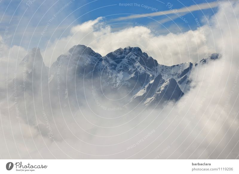 Wolkenkratzer Urelemente Himmel Klima Alpen Berge u. Gebirge Allgäuer Alpen Schneebedeckte Gipfel gigantisch hoch kalt blau weiß Stimmung Freiheit Macht Natur