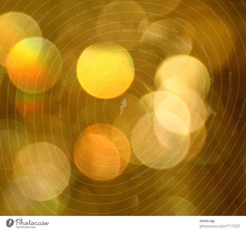 Unschärfekreis gelb Nachtleben mehrfarbig rund Kreis Licht schwarz durcheinander Alkoholisiert Farbe Reflexion & Spiegelung Lampe Beleuchtung doppelt sehen