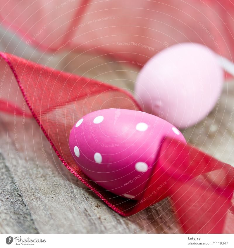 Ostereier Ostern Osternest Farbe rosa Ostermontag Hintergrundbild Fröhlichkeit Ei Osterhase Frühling nah violett Nahaufnahme Werkstatt rot