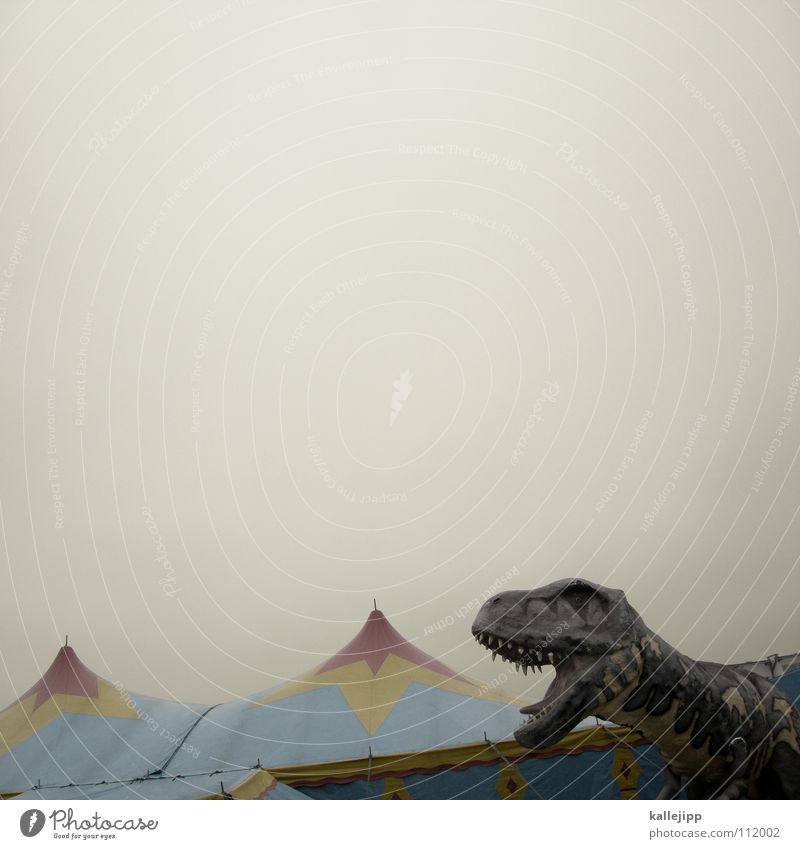 am wochenende in brandenburg Urzeit Dinosaurier Zelt Zirkus Attraktion Entertainment Langeweile Frustration teuer Eingang Show Desaster Godzilla Fleischfresser