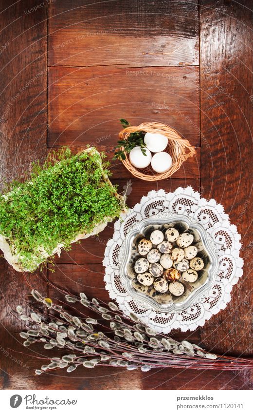 Osterzusammensetzung aus Kätzchen, Eiern und Kresse, auf Holztisch Lebensmittel Bioprodukte Dekoration & Verzierung Tisch Ostern Frühling Metall natürlich braun